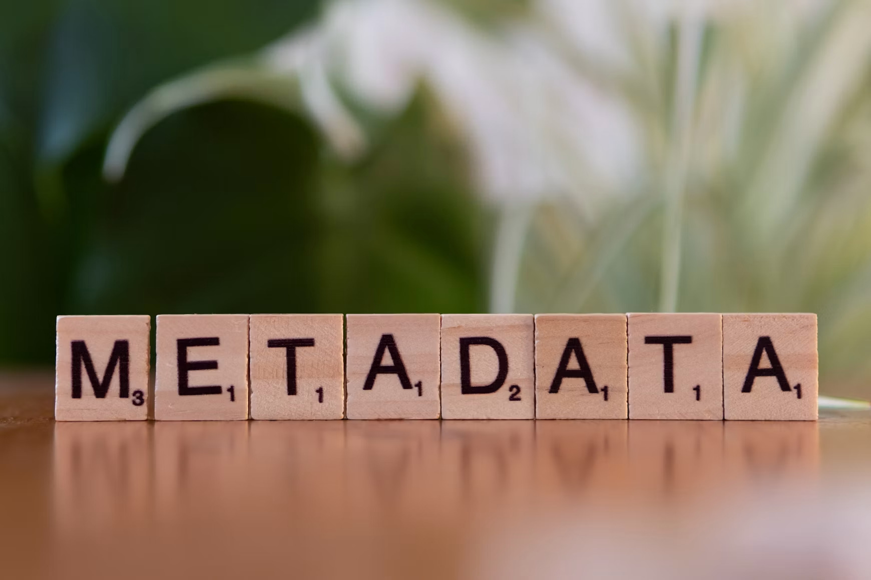 Introduction to metadata and Laravel Head